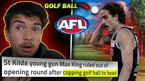 Menzel's knee injury