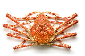 Male is larger than the female and has larger claws. Facts About Spider Crabs That Are Insanely Bizarre Animal Sake