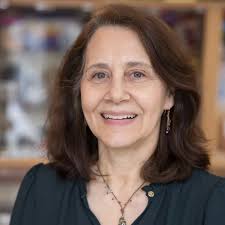 Our Team at West Windsor Arts