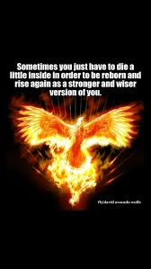 Phoenix out of the ashes the pheonix phoenix rebirth phoenix from ashes rise from the ashes the firebird rising from ashes fire phoenix rising phoenix phoenix rising. Phoenix Rising From The Ashes Energising Souls