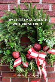 Create A Diy Holiday Wreath With Fresh Fruit Christmas Wreaths Holiday Wreaths Holiday