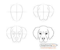 Check spelling or type a new query. Drawings Step By Step Step By Step Drawing Drawing Techniques Dog Drawing