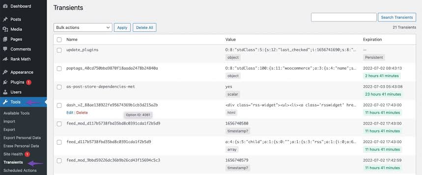 Identifying bloated transients in the WordPress options architecture, AI generated
