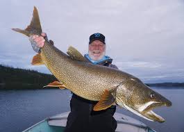 Before you can cast your line in the water and wait for a trout bite, there are quite a few things that you should have in mind in terms of prior knowledge. 3 Must Have Lake Trout Lures For Plummer S Lodges Bbz Approved Thebbz Com The Big Bass Zone Thebbztv How To Catch Monster Bass Other Fish Fishing Videos