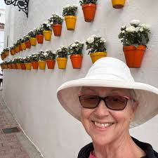 Limestone District School Board network disruption due to cyber incident