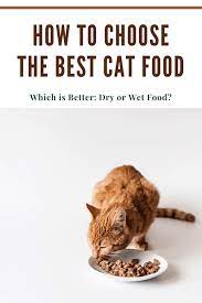 Both Dry And Wet Feeds Have Their Advantages And Disadvantages Cat Catfood Bestcatfood Best Cat Food Cats Cat Food