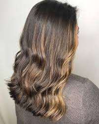 This is a classic take on black and red highlights. Pin On Dark Brown Hair With Blonde Highlights