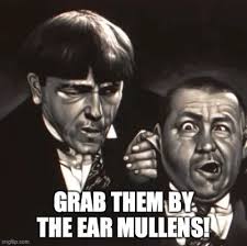 Haywarduck's Content