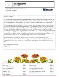 HCE NEWSLETTER