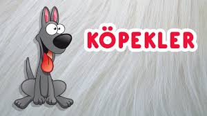 Kopek Sesi Kopek Havlamasi Cocuklar Icin