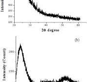 XRD analysis of SiO2 samples: (a) dried at 110ºC, (b ...