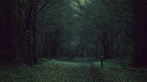 Dark Forest Wallpaper 4k This hd wallpaper is about finland, hossa, darkness, witch, noir, scary, horror, woods, original wallpaper dimensions is 4134x2759px, file size is 1.74mb. dark forest wallpaper 4k