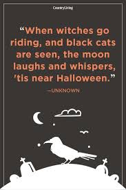 We did not find results for: 57 Best Halloween Quotes Spooky Halloween Quotes And Sayings