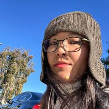 In search of a house in the Siebert or Adams neighborhood of Midland! 4+  bedrooms. Budget is $300k