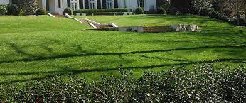 Maybe you would like to learn more about one of these? Full Service Lawn Landscape Maintenance In Sandy Springs Ga Bloom N Gardens Landscape