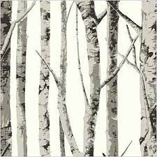 Bring The Fairy Tale Home Birches Wallpaper Birch Tree Wallpaper Tree Wallpaper