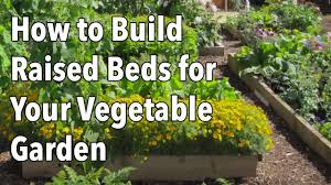 A raised planter box is a lot easier to get to; How To Build A Raised Garden Bed Step By Step Guide The Old Farmer S Almanac
