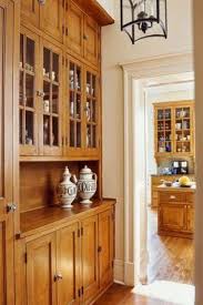 Walk In Pantry Home Trends Kitchen Cupboard Tops Home