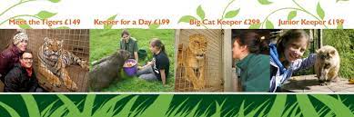 Home Dartmoor Zoo Dartmoor Days Out With Kids Family Fun Day