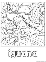 Check spelling or type a new query. Animal Alphabet Coloring Pages Letters G L Alphabet Coloring Coloring Pages Iguana