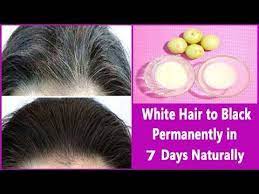 Youtube Thick Hair Remedies Remedy For White Hair Grey Hair Remedies