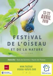 Festival De L Oiseau Et De La Nature Oiseaux Des Jardins Oiseaux Festival