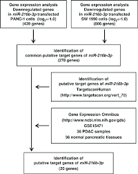 Flow Chart Illustrating The Analytic Strategy For Mir 216b