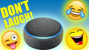 I'd rather not say anything rude. 100 Funny Things To Ask Alexa Amazon Echo Youtube