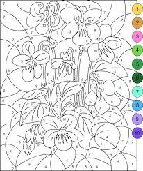 Libros Para Colorear Adultos Libros Para Colorear Colorear Por Numeros