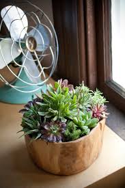 We love designing with plants, teaching how to arrange them, and lila b. Mobile Landscapes Lila B Design Succulent Planter Diy Succulents Succulent Garden Diy