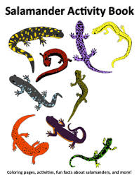 Color crafts & activities for kids. A Fun Activity For Kids Susquehannock Wildlife Society Facebook