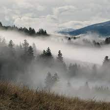 Alternatively search google for fiog. 7 Types Of Fog You Didn T Know Had Names