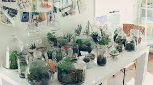 Ada tiga kategori terarium saat ini yaitu terrarium udara terbuka, terrarium tertutup, dan juga terrarium binatang. Ingin Punya Kebun Mini Sendiri Buat Saja Dengan Gelas Dan Toples Bekas Ini