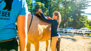 This camp may be offered for a period of one day up to eight weeks, depending on the horse camping program. Equestrian Specialty Kennolyn Santa Cruz Mountains Overnight Camp