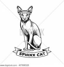 Sphynx tattoo idea cat tattoo sphynx cat tattoo tattoos. Sphinx Tattoo Design Vector Photo Free Trial Bigstock