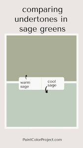 The 6 Best Sherwin Williams Sage Green
