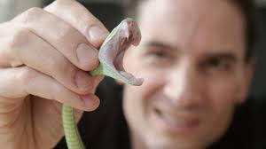The man who injects himself with snake venom