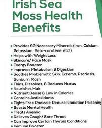 Sea Moss Benefits For Women Sea Moss Benefits Products Sea Moss Benefits Essential Oils Sea Moss Benefits For Men Best Picture For Irish Sea 2020 Adlar Yorum