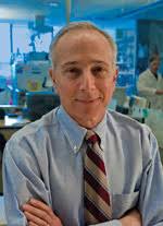 Novartis tackles immuno-oncology with a $750M Aduro deal for new R&D group 