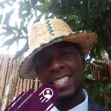 What are the pros and cons of work-study programs for college students?