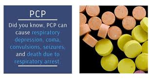 Image result for Phencyclidine