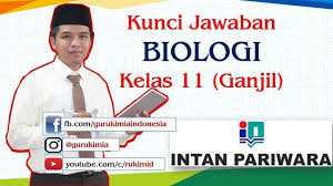 Kunci Jawaban Intan Pariwara Biologi Kelas 11 Tahun 2020 2021