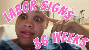 Amber Deweese's Instagram, Twitter & Facebook