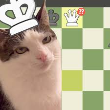 Chess.com
