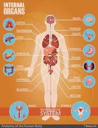 Jun 04, 2021 · i like to find reading logs, printable reading challenges and bookmarks that we can put stickers on, or that my children can write on themselves. Anatomy For Kids Pdf Kit