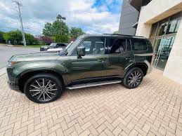 Image result for Nori Green 2025 LZ