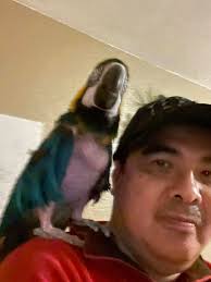 West Texas Pet Detectives