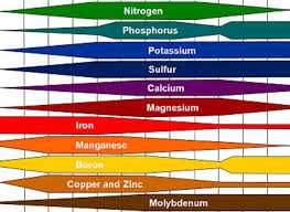 relationship between soil ph and nutrient availability