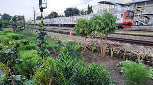 Selain lezat, jamur juga mudah diolah menjadi berbagai macam produk makanan. Berkebun Saat Pandemi Antara Interaktif Vol 39