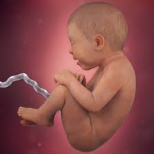 Tapi, kalau ikutkan 'due date' ada lagi 2 minggu. 36 Weeks Pregnant Symptoms Baby Movement More Babycenter